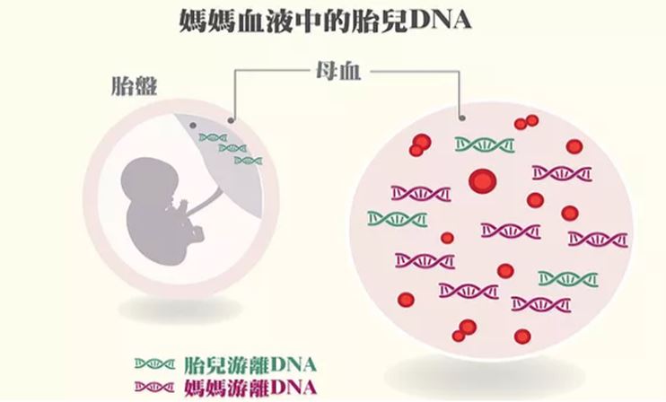香港抽血查DNA男女有科学依据作为支撑，值得信任