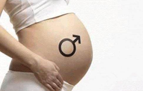 检测胎儿性别的办法