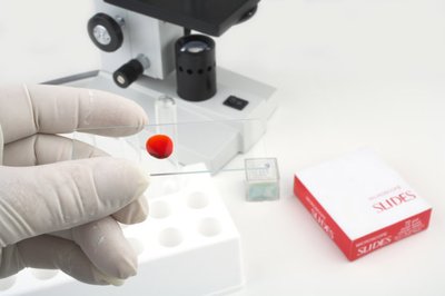 怎么保证香港抽血测男女的准确性？——化验所资质